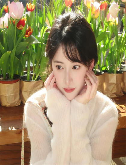 睡美人2011衍生内容观看指南：相关作品推荐与关联